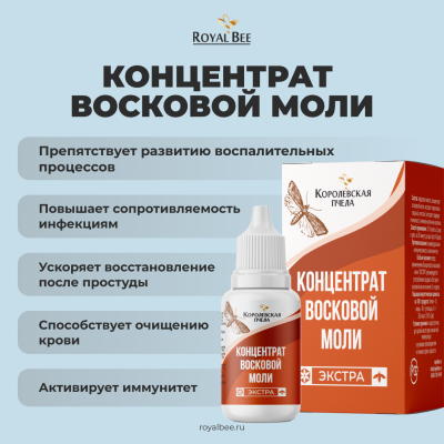 BOX "ДЫШИ ЛЕГКО"